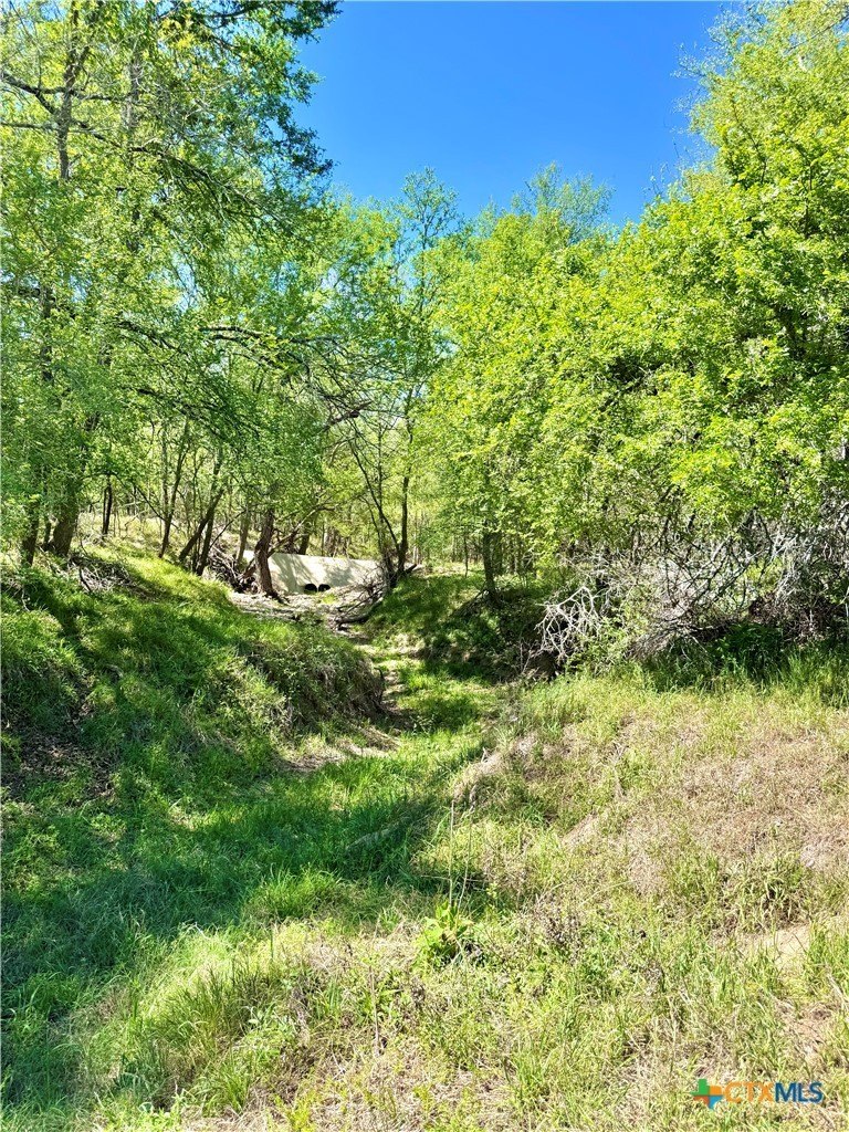 Kingsbury, TX 11 Acre Escape