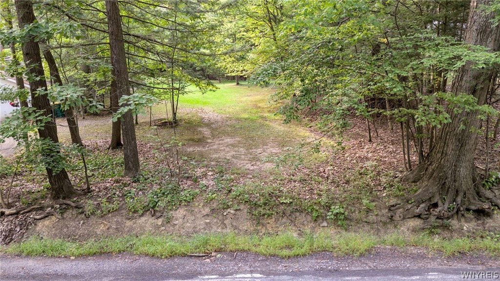 Picture 3