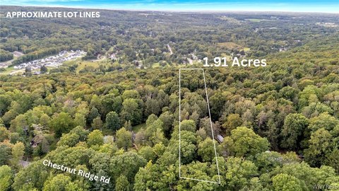 Land, Orchard Park, NY