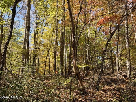 Land, Topton, NC
