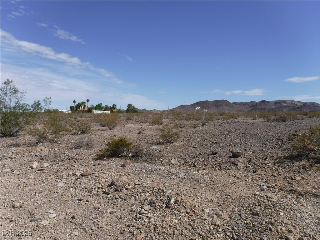 Picture 6