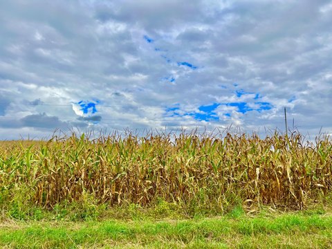 Hillsdale, MI Tillable Land