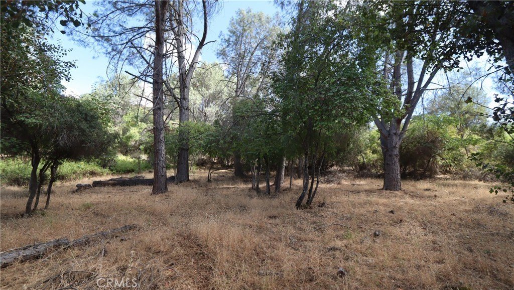 Picture 11