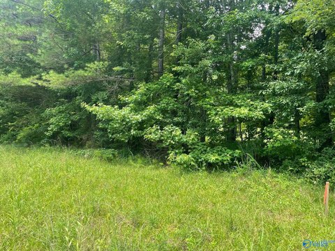 Secluded Wooded Land in Cullman