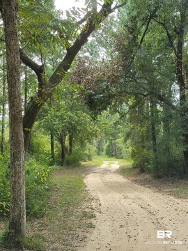 Wooded Hunting Land with Cabin