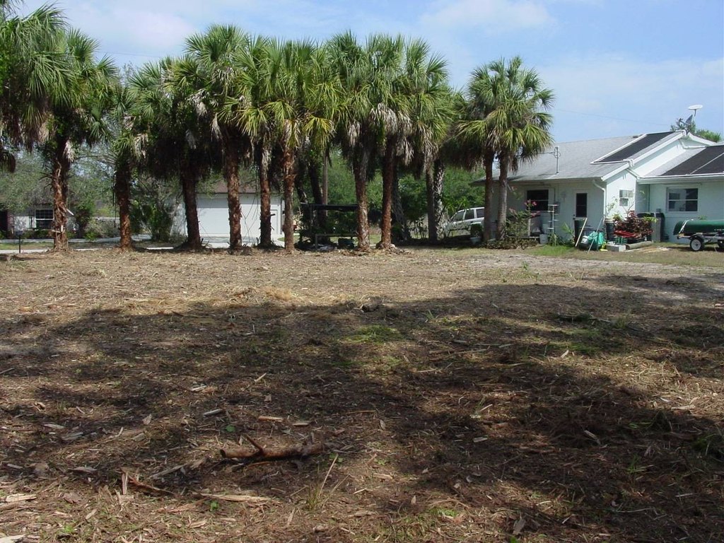 Picture 13