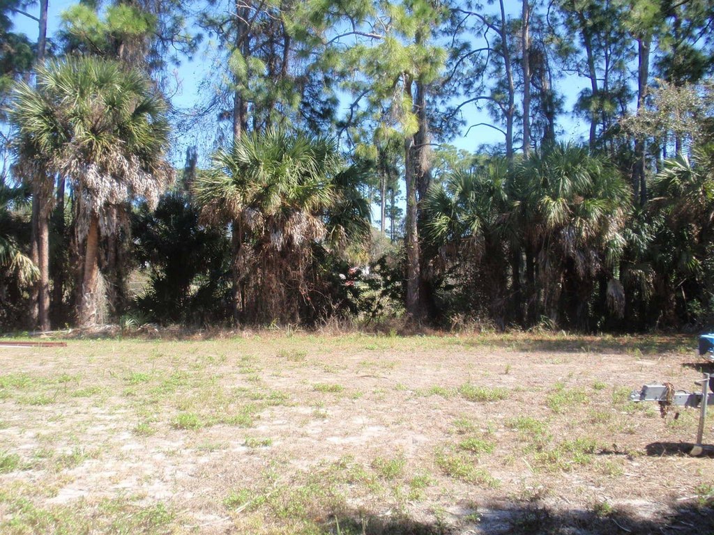 Picture 15