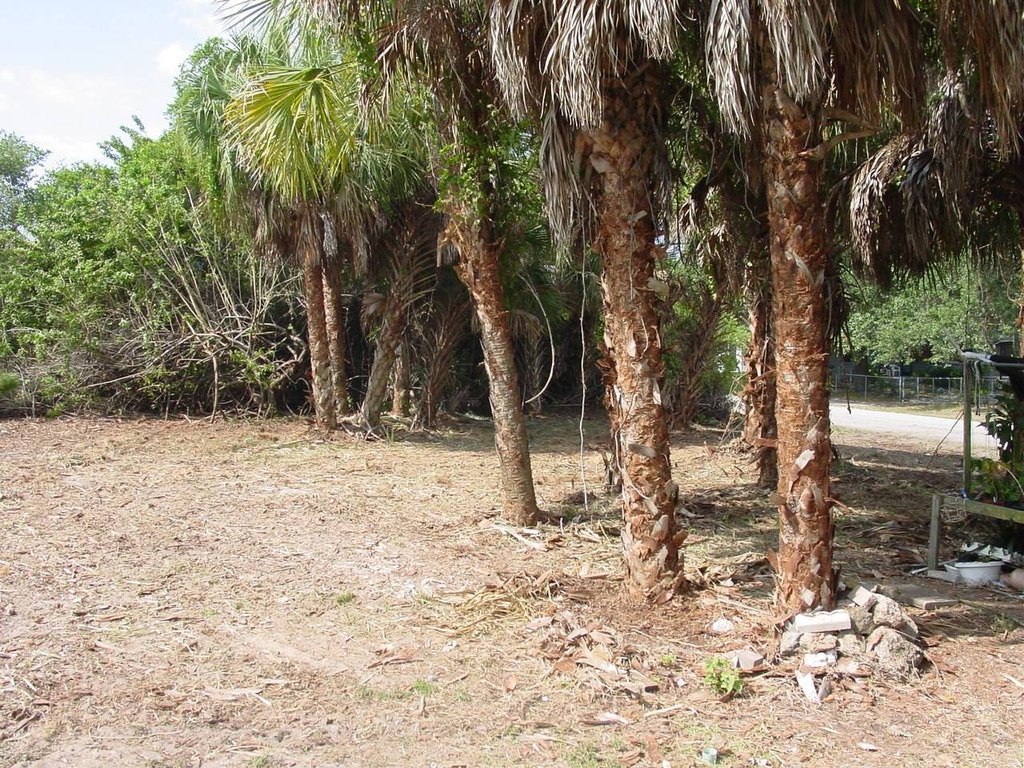 Picture 7