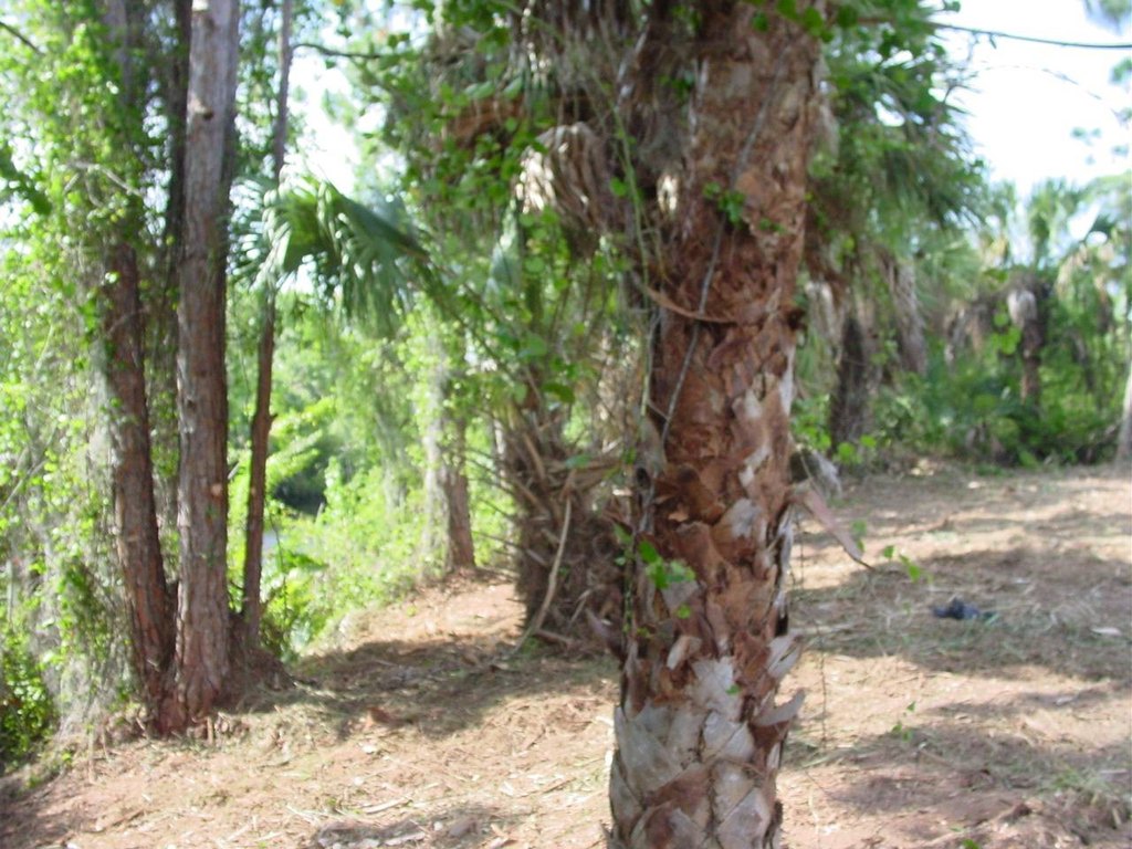 Picture 9
