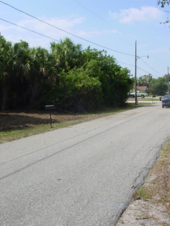 Picture 18