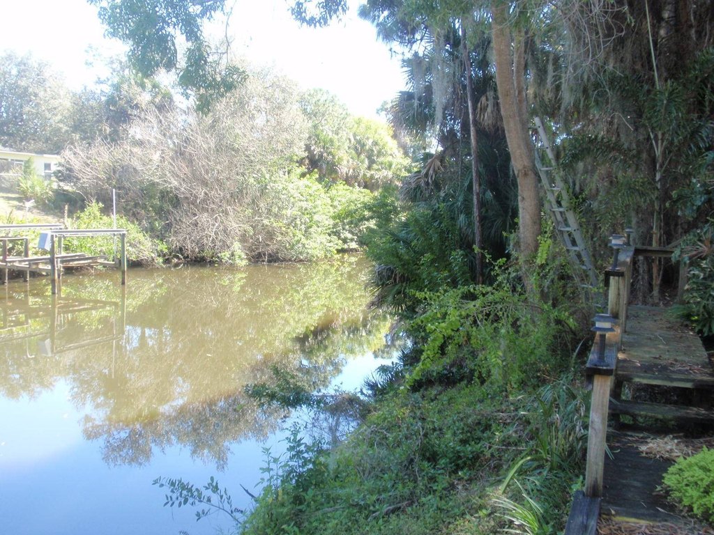 Picture 12