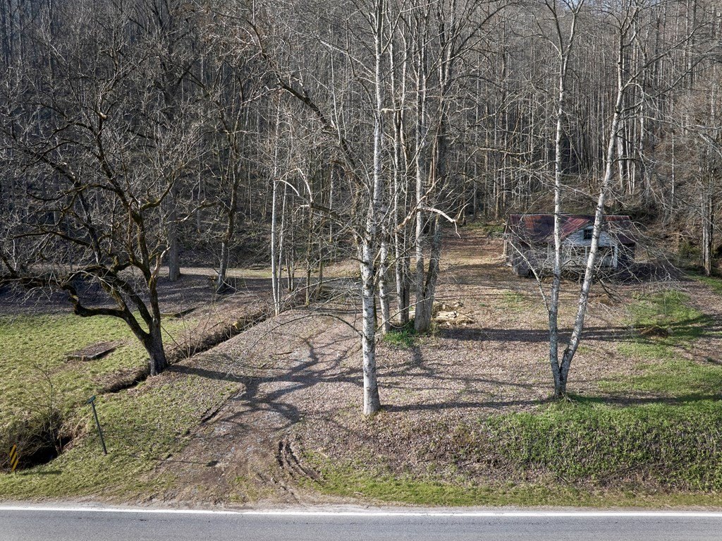 Picture 5