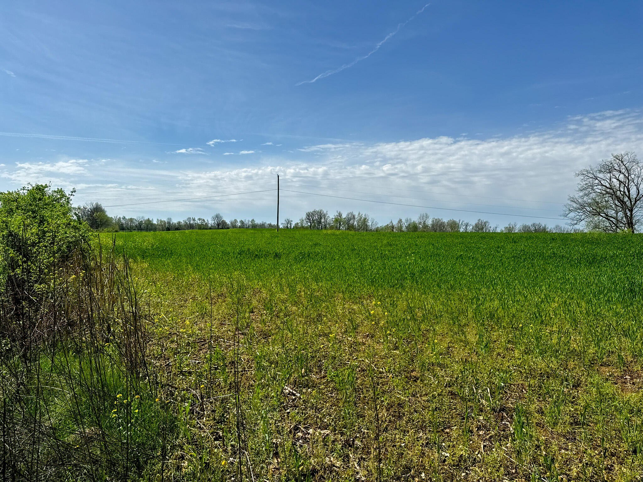 17.09 Acre Tract in Shelbyville