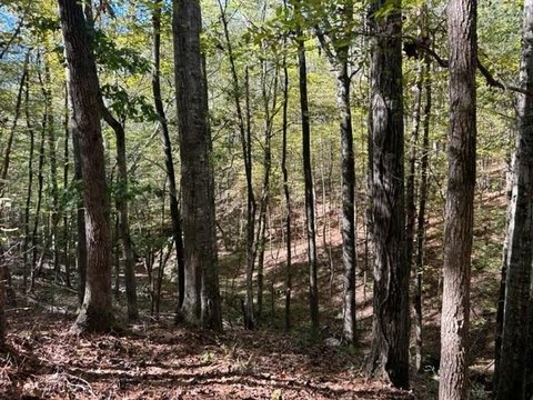 Union Church Land For Sale