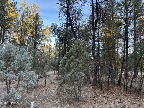Lakeside, AZ Land Parcel