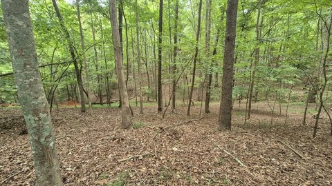 Vacant Lot, Ellijay, GA