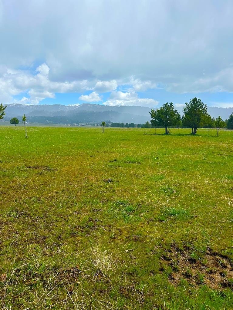 16 Acres Building Lot