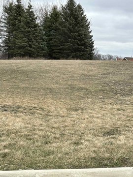 Residential Land in Estherville, Iowa
