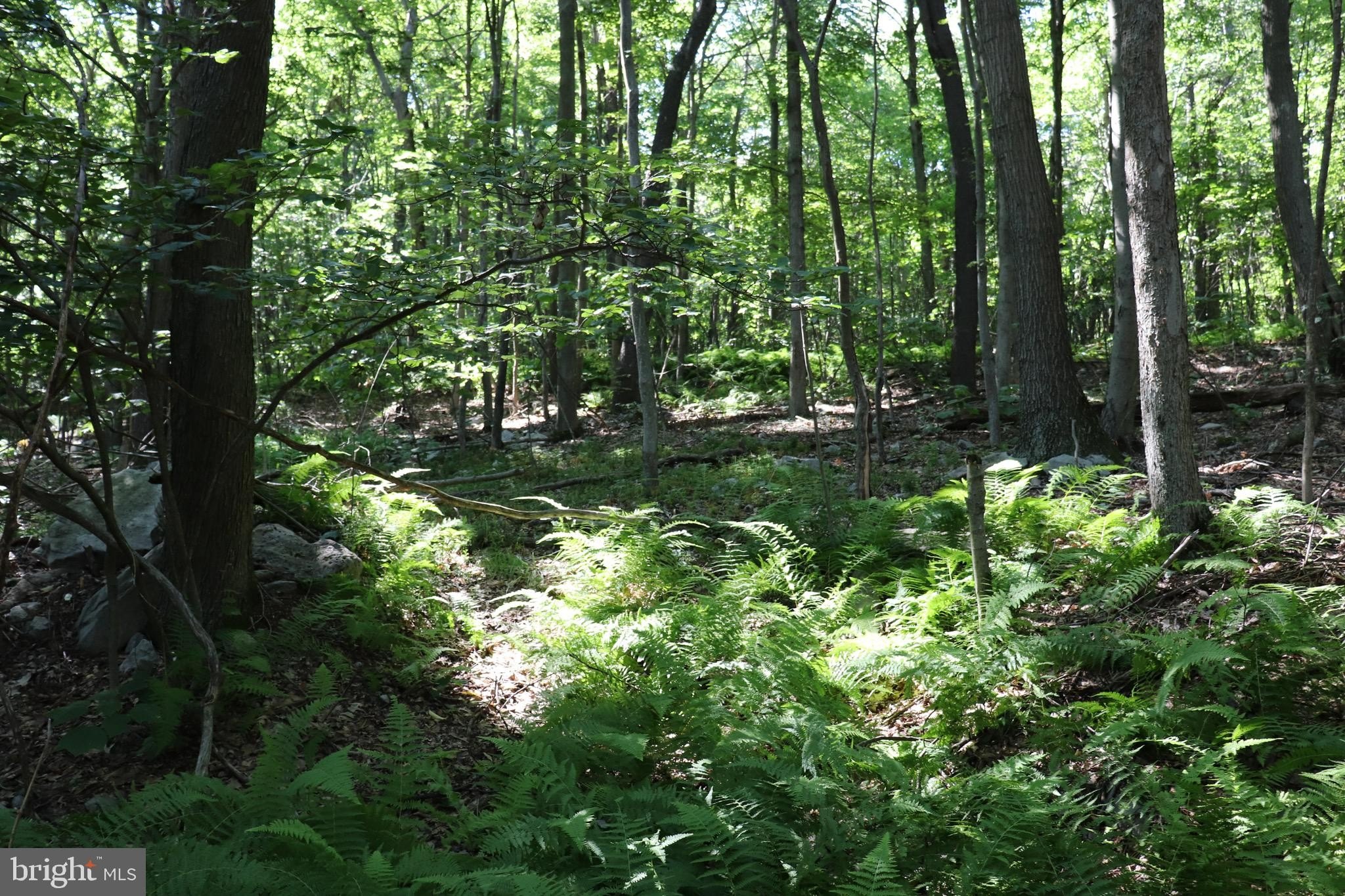 Residential Land in Claysburg, PA