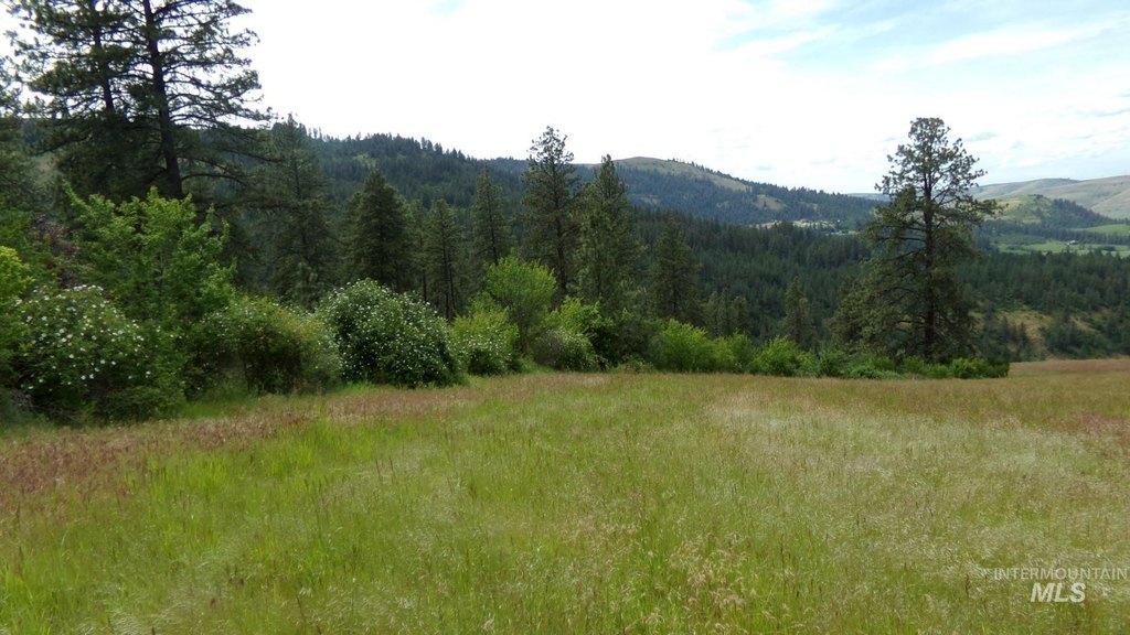 Picture 8