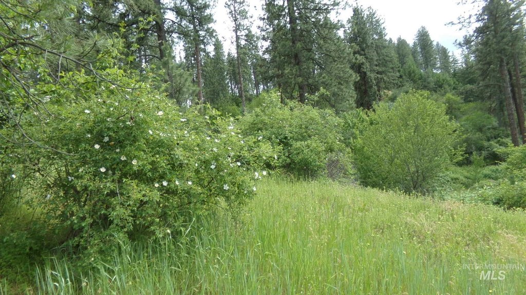 Picture 9