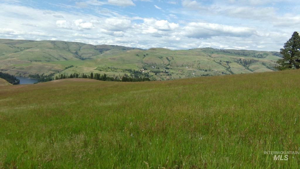 Picture 13