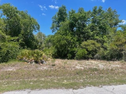 Residential Land in Poinciana, FL