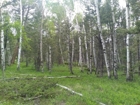 Land in Cimarron, Colorado