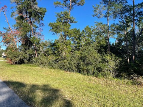 OCALA, FL Buildable Lot