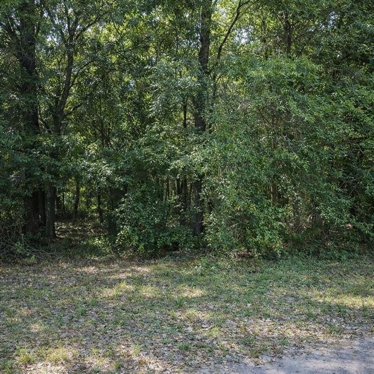 Eight Mile Wooded Land