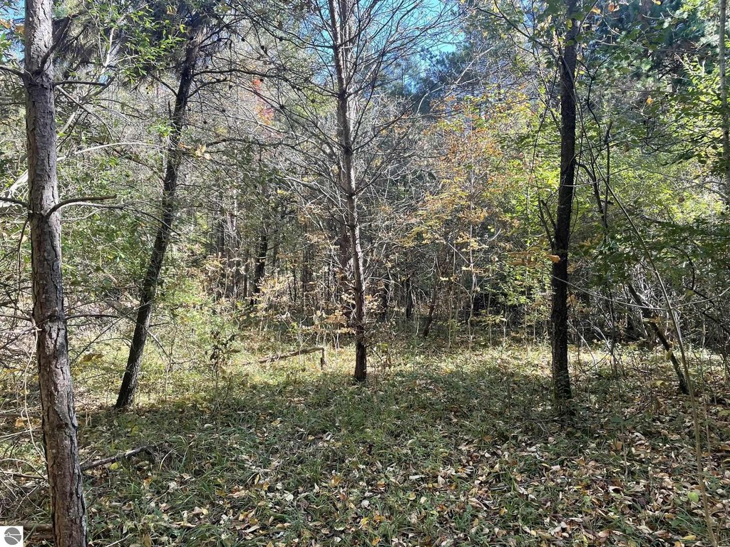 Picture 4