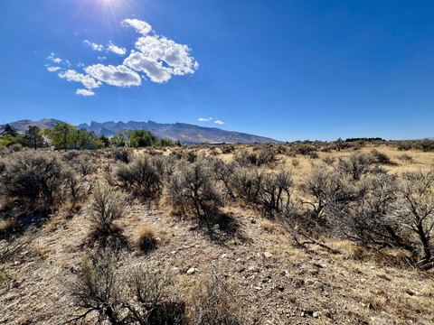 Land, Spring Creek, NV