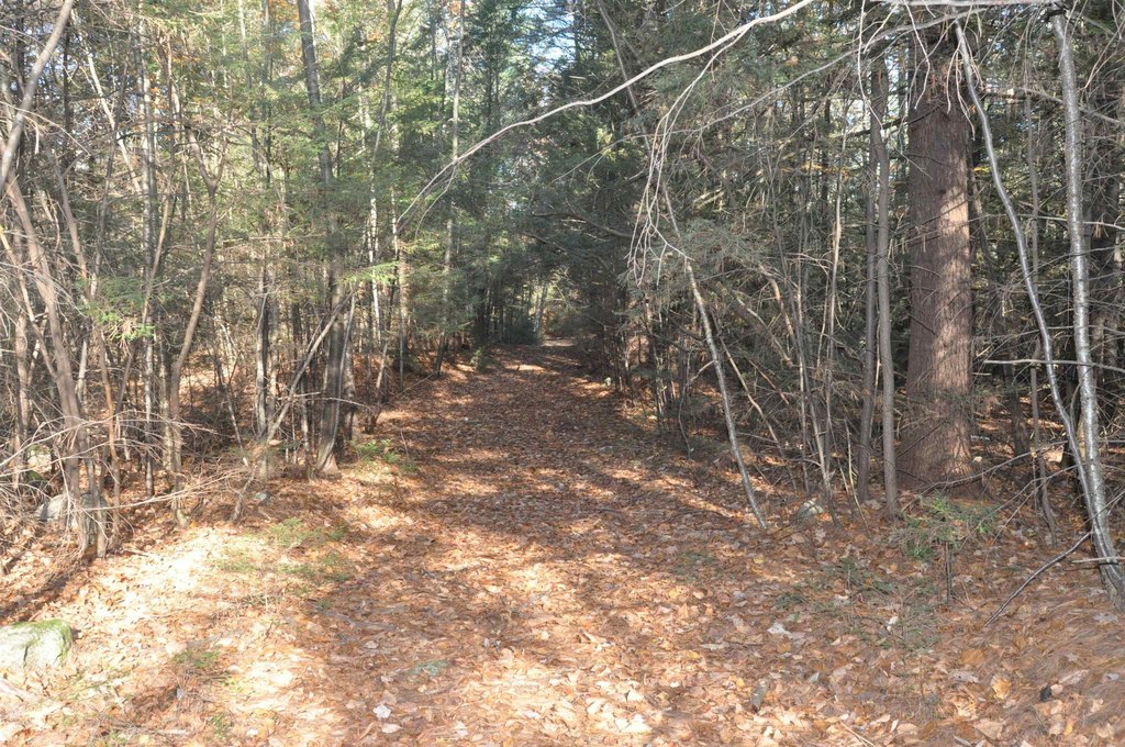 Picture 25