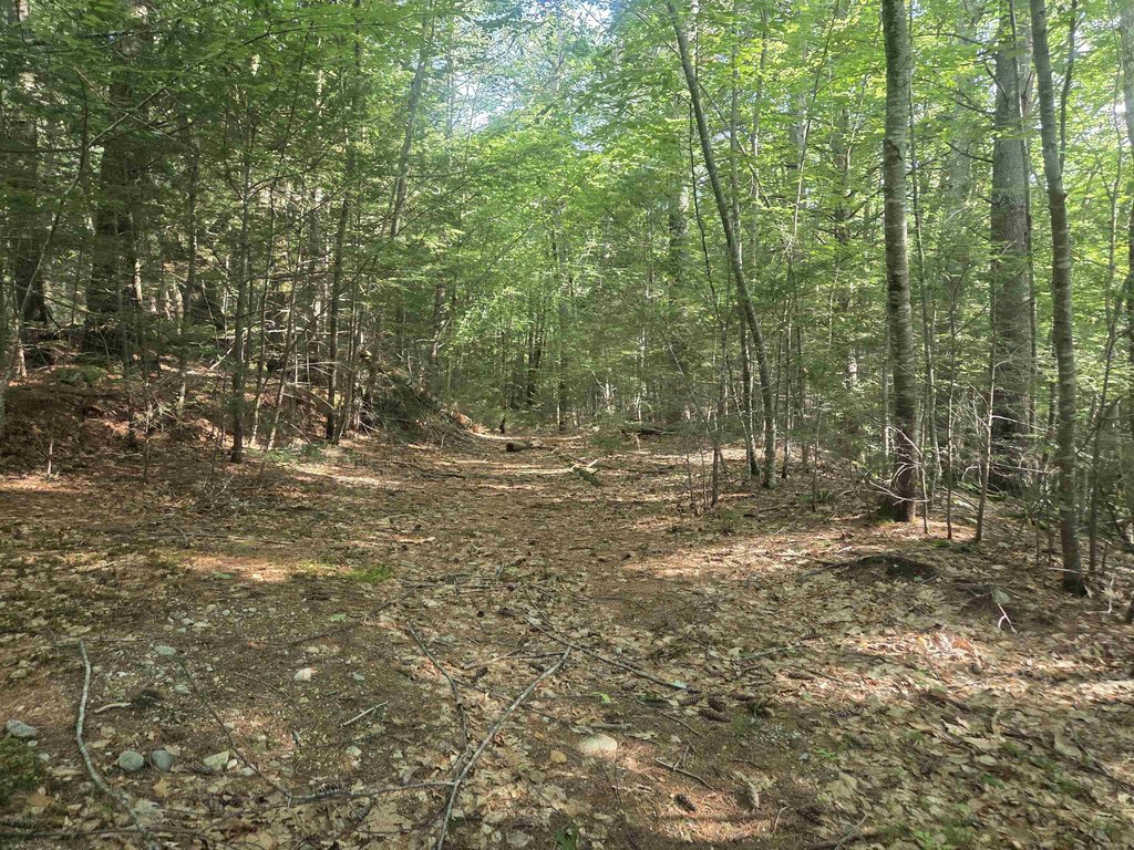 Picture 2