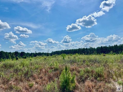 Land, Bloomburg, TX
