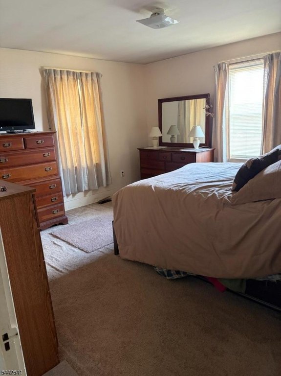 Picture 13