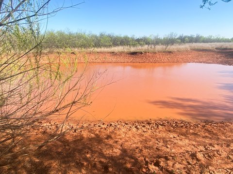 80 Acres of Raw Land