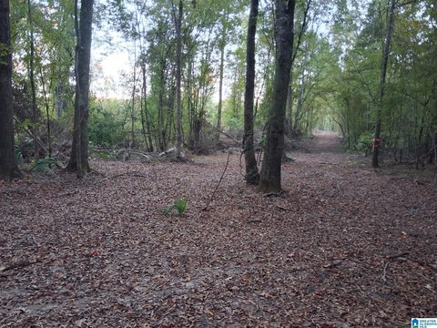 LAND/LOTS, OHATCHEE, AL