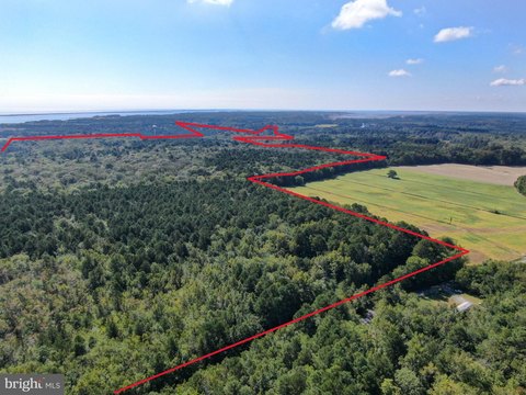 144 Acres of Wooded Land