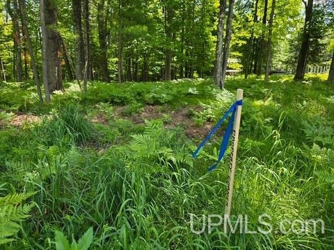 Wooded Lot Near Lake Antoine