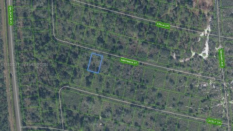 Residential Land in Sebring, FL