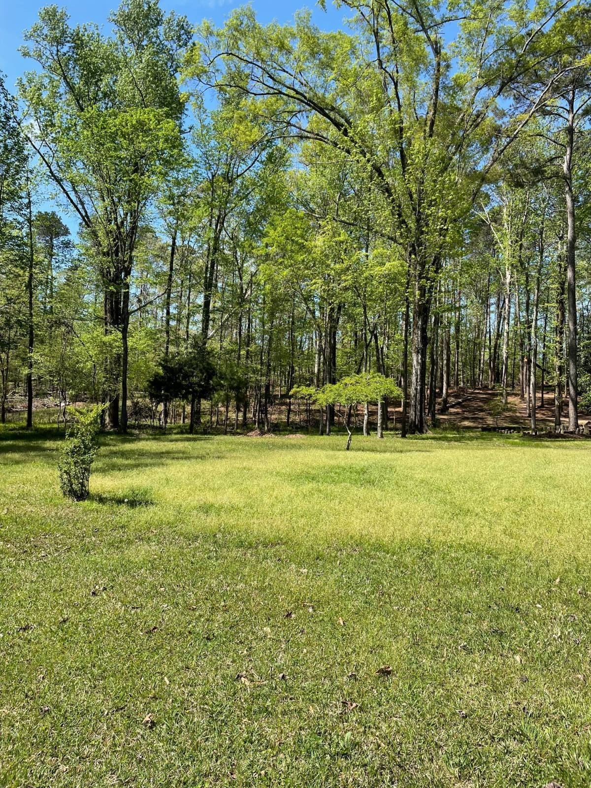 Edgefield Vacant Land Ready to Build
