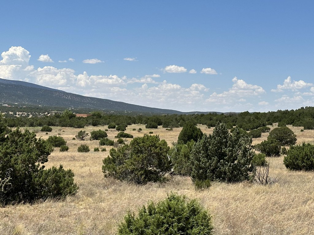 Picture 22