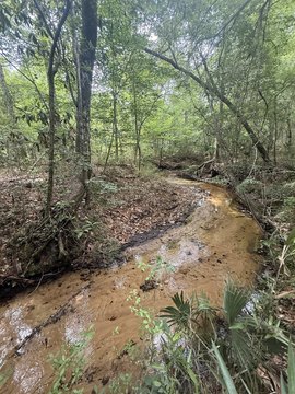 25 Acres of Natural Beauty