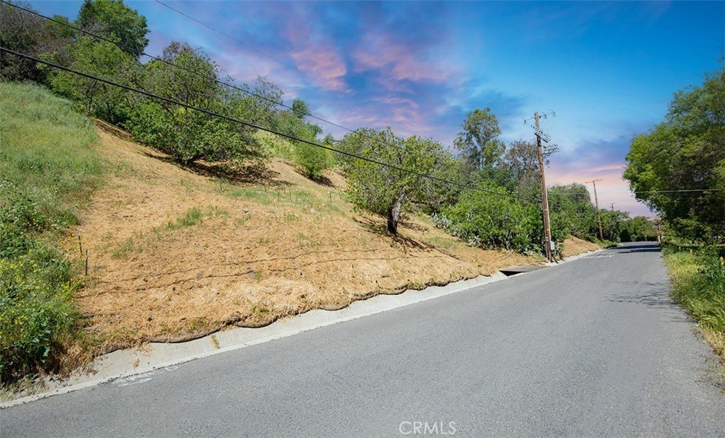 Picture 17
