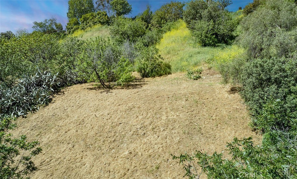 Picture 19
