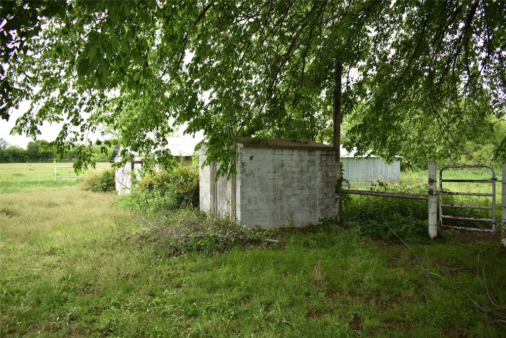 Picture 19
