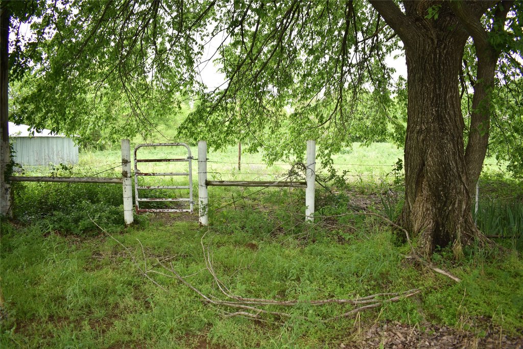 Picture 20