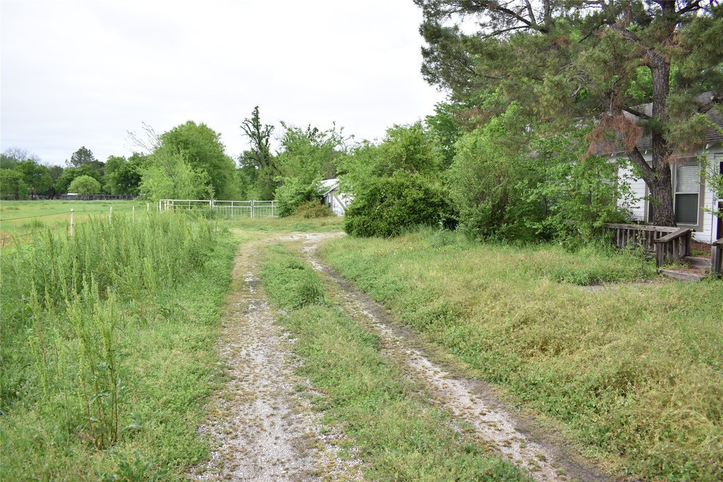 Picture 31