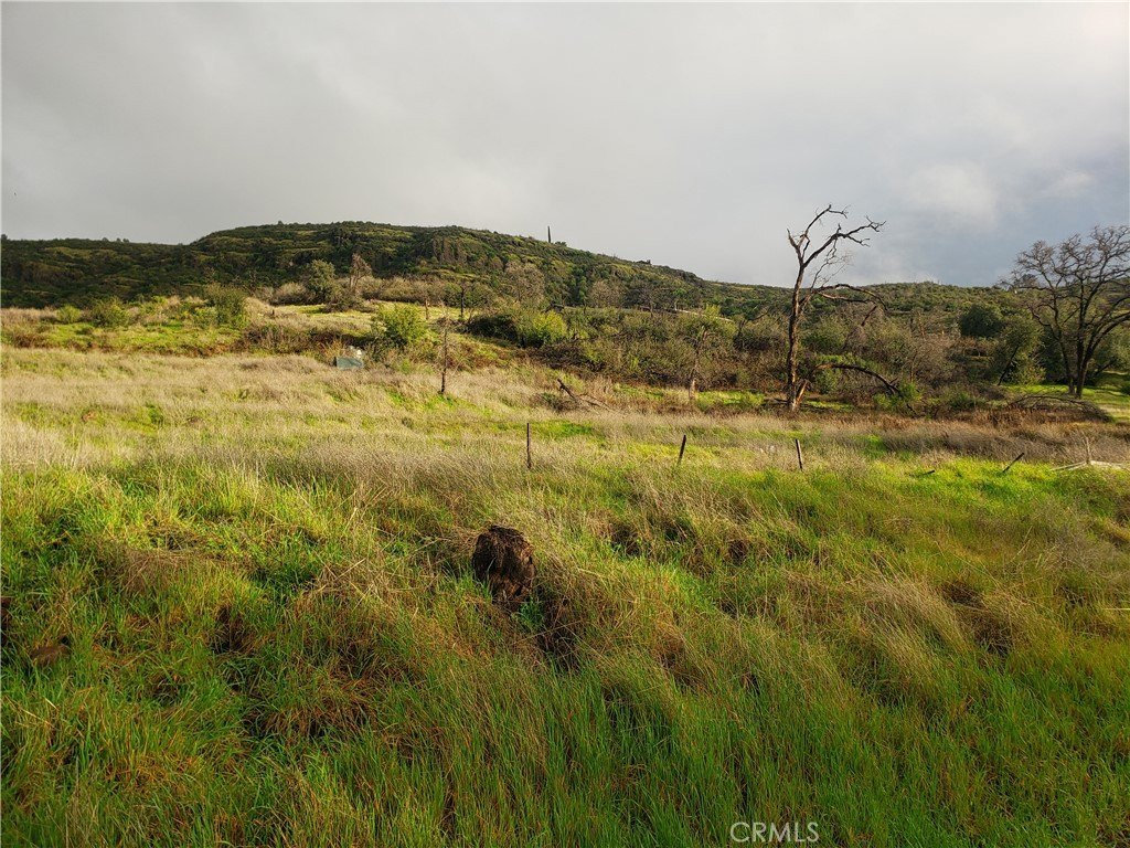 Picture 42